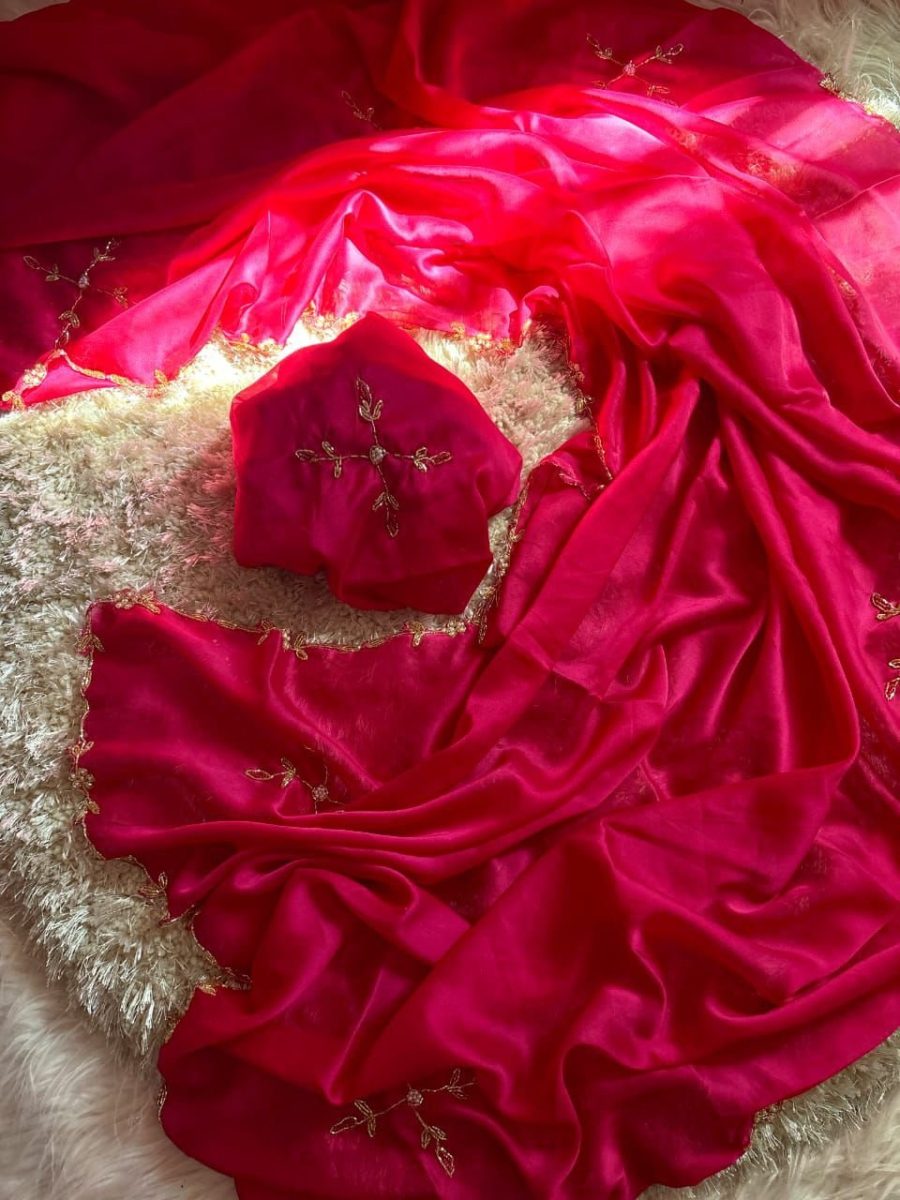 JAANU - Simple Handwork Saree π
