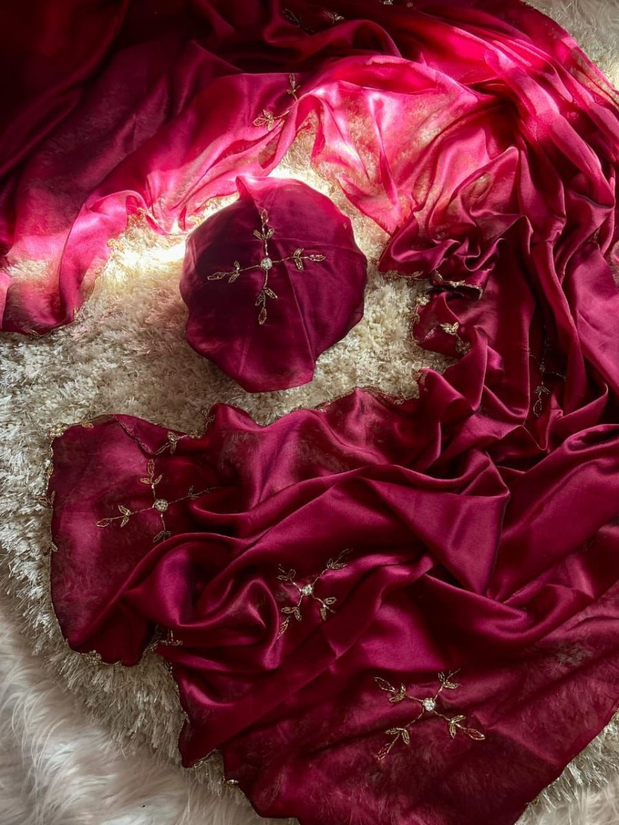 JAANU - Simple Handwork Saree π