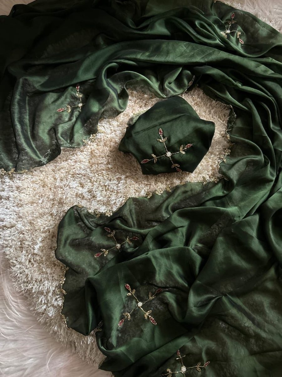 JAANU - Simple Handwork Saree π