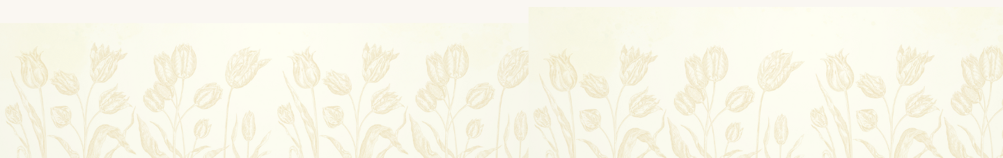 collection-banner-image